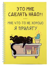 Тетрадь общая «День кота (Эксклюзив)», 60 листов в клетку, А4 - Listoff