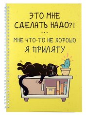 Тетрадь общая «День кота (Эксклюзив)», 60 листов в клетку, А4 - Listoff