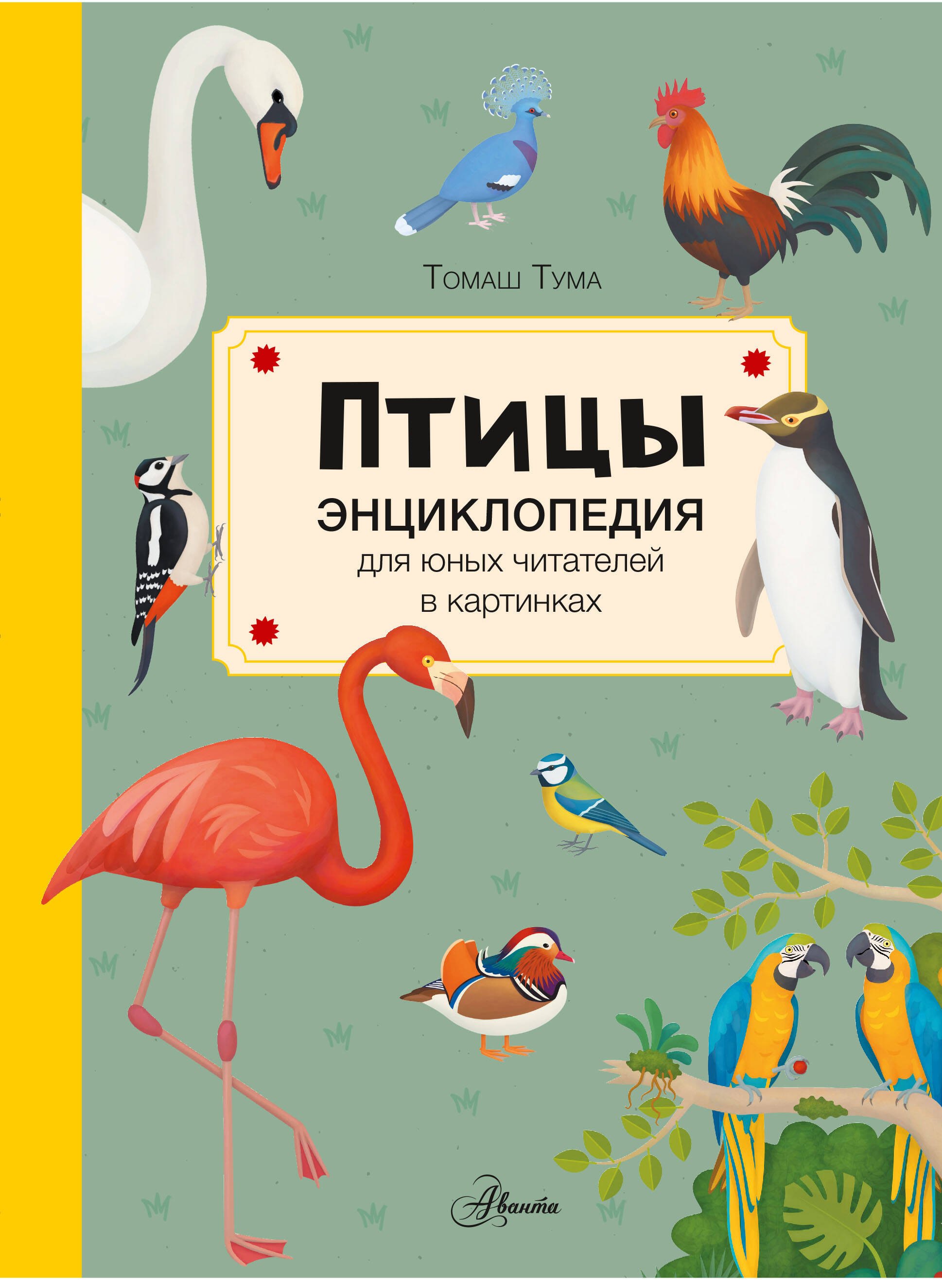 

Птицы