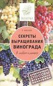 Секреты выращивания винограда в любом климате - 0