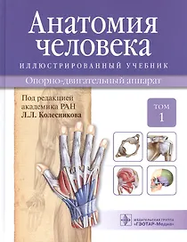 Анатомия человека.Т.1-Опорно-двигательный аппарат.Учебник в 3 томах