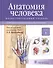 Анатомия человека.Т.1-Опорно-двигательный аппарат.Учебник в 3 томах - 0