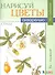 Нарисуй цветы в ботаническом стиле акварелью по схемам. Ты - художник - 0