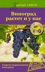 Удач.сов.Виноград растет и у нас