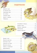 Тайны моря. Моя первая энциклопедия с наклейками - 1