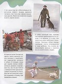 Питомцы - 2