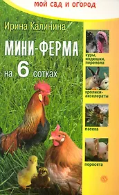Мини-ферма на 6 сотках