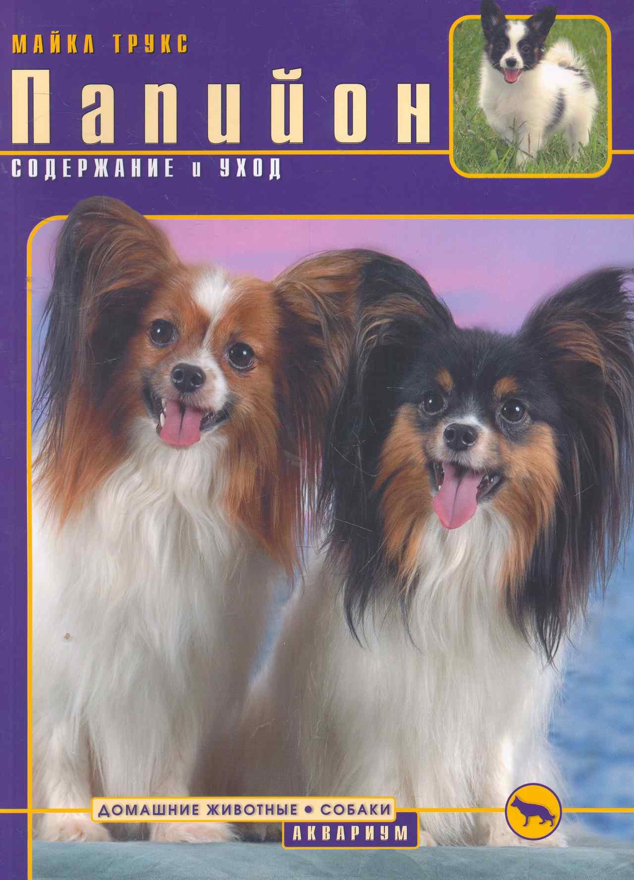 

Папийон. Содержание и уход