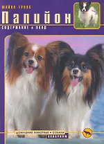 Папийон. Содержание и уход