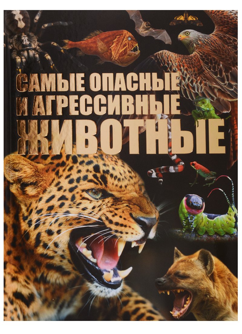 

Самые опасные и агрессивные животные