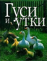 Гуси и утки