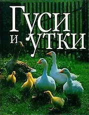 Гуси и утки