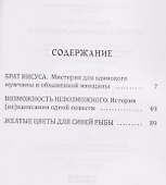Пейзаж с одиноким мужчиной - 2
