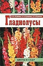 Гладиолусы