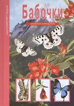 Бабочки.