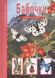 Бабочки.