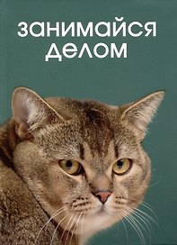 Записная книжка «Кот дело говорит» А6, 64 листа в клетку, Listoff