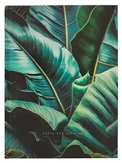 Книга для записей А4 160л кл. "Стрелиция" 7БЦ, глянц.лам, офсет