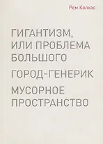 Гигантизм, или проблема большого. Город-генерик. Мусорное пространство