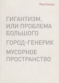 Гигантизм, или проблема большого. Город-генерик. Мусорное пространство