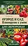 Огород и сад. Планируем с умом для сверхурожая - 0
