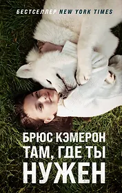 Там, где ты нужен