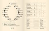 Дневник для муз.школ "Дизайн 4 (22)" 7БЦ, мат.ламинация, тиснение золот.фольгой - 2