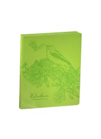 Дневник для муз.школ "Vivella-Соловей" иск. кожа, тон.блок, тиснение, Greenwich Line