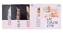 Тетрадь общая «Котоюмор», 48 листов в клетку, A5, в ассортименте - Hatber