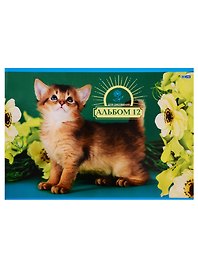 Альбом для рисования «Котики» BG А4, 12 листов, склейка, в ассортименте