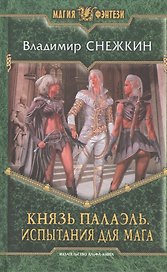 Князь Палаэль. Испытания для мага: Фантастический роман.