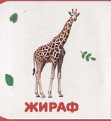 Дикие животные - 2