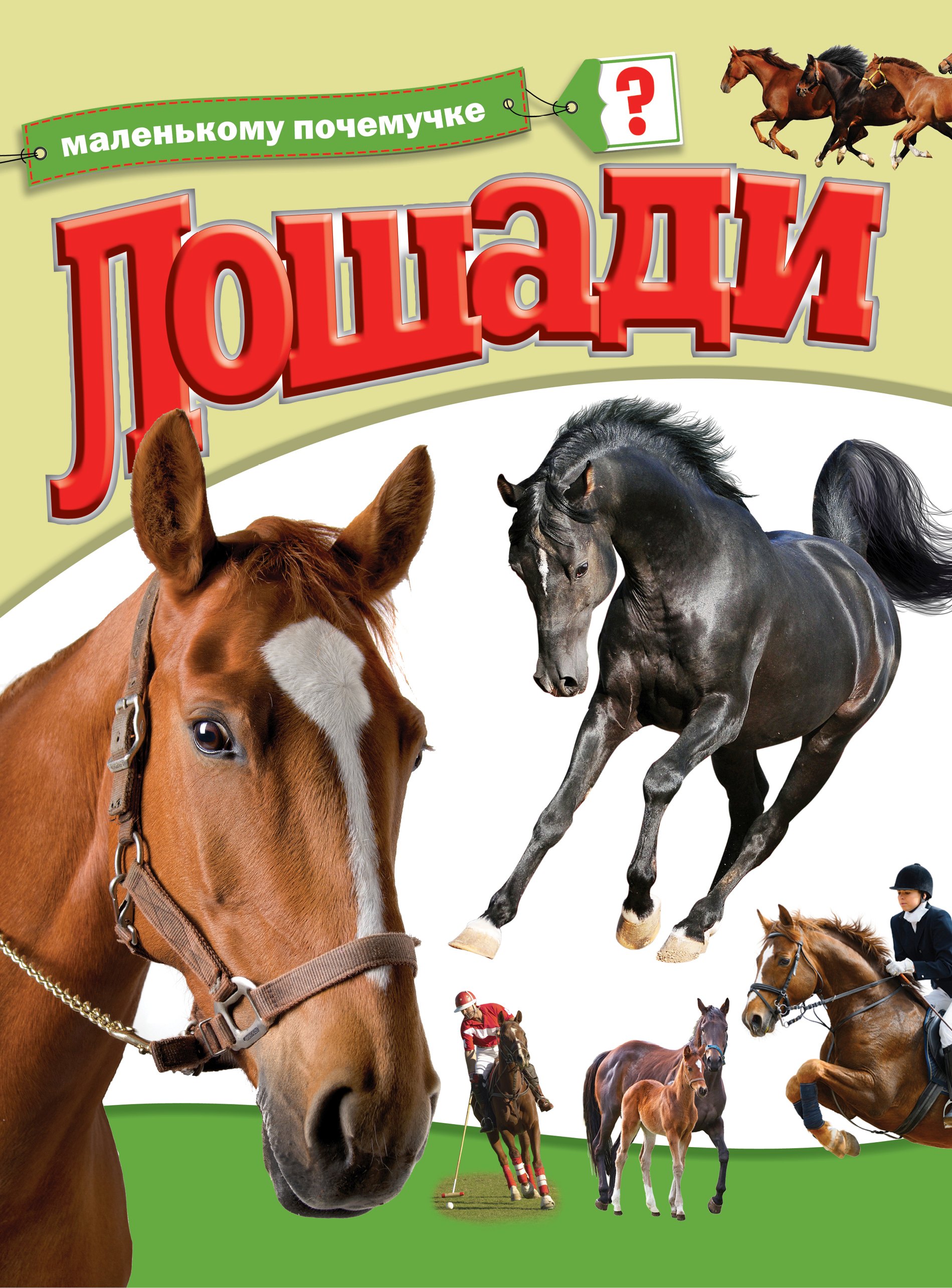 

Лошади