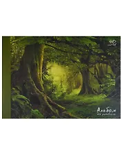 Альбом для рисования Unnika, "Лесная сказка", А4, 40 листов, на склейке