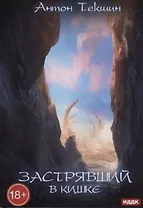 Застрявший. Книга 3. Застрявший в Кишке