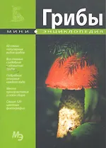 Мини-энциклопедия. Грибы