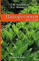 Папоротники для сада