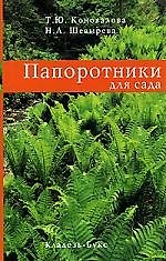 Папоротники для сада