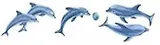 Наклейки для дома, Декоретто, "Дельфины"