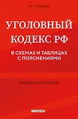 Уголовный кодекс РФ в схемах и таблицах с пояснениями. Учебное пособие 2-е издание - 0