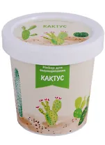 Набор для выращивания Кактус (Hero in desert) (НВ2018-04)