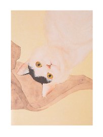 Записная книжка «Котик по кличке Миндаль 1» А6+, 18 листов, нелинованная, скрепка