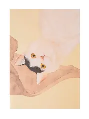 Записная книжка А6+ 18л нелин. "Котик по кличке Миндаль (1)" скоба