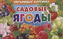Обучающие карточки "Садовые ягоды"