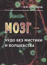 Мозг – чудо без мистики и волшебства