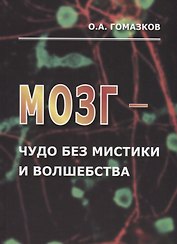 Мозг – чудо без мистики и волшебства