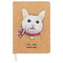 Записная книжка «Awesome cat» А6, 96 листов в линейку, Kairui