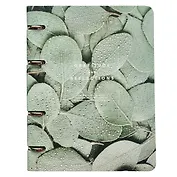 Тетрадь на кольцах в клетку Be Smart, "Botanica. Эвкалипт популус", 120 листов