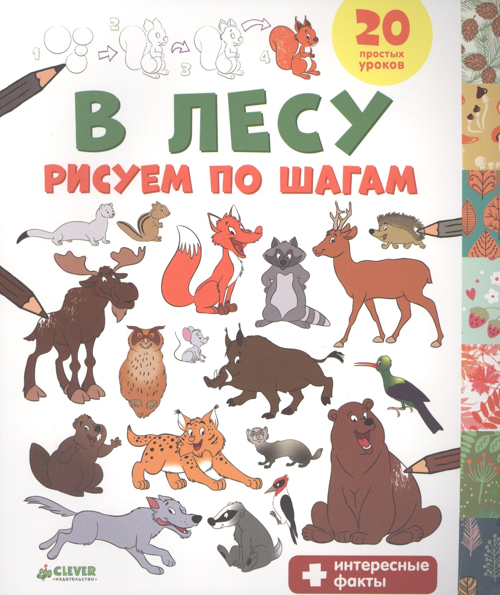 

В лесу. Рисуем по шагам