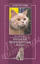 Британские короткошерстные кошки